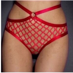 Agent provocateur red panty agent provocateur red fishnet panty ap3 nwt